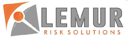 Lemur Risk Solutions Security firms in  (South Africa)