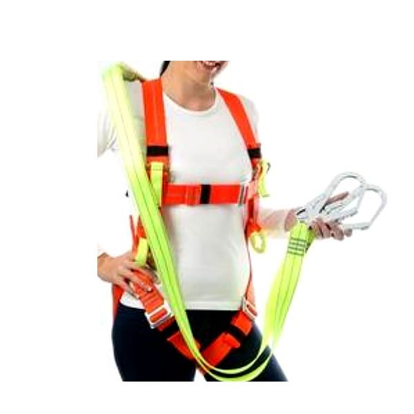 Safety Harness